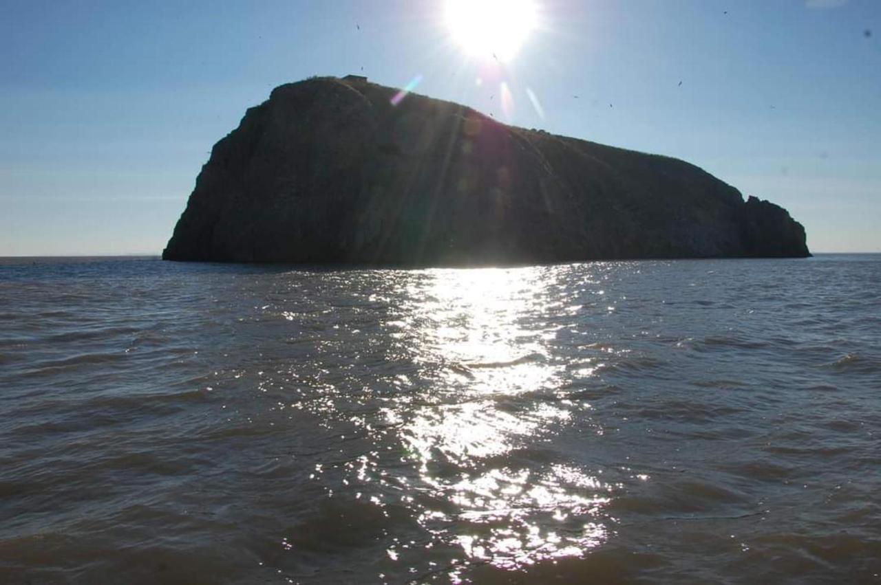 95 Holiday Resort Unity 3 Bed Passes Included Brean Exterior foto
